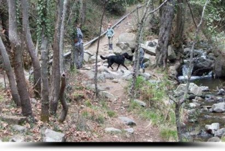 Platres-Pouziaris-Troodos Trail