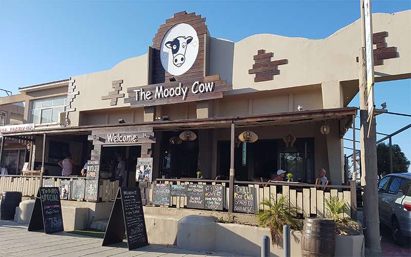 The Moody Cow
