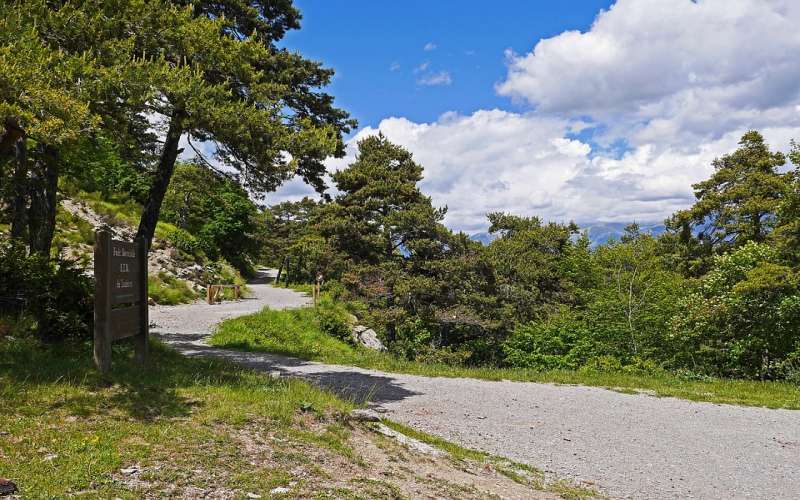 Trooditissa to Prodromos Trail